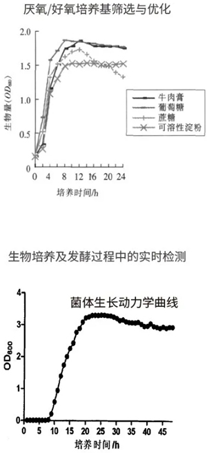 过程安全，结果精准
